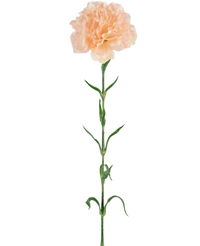 Ramo de flor artificial Clavel 69 cm melocotón