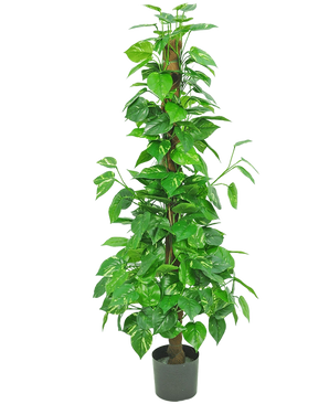 La Planta Artificial Pothos 150 cm es una planta artificial alta con hojas de color verde brillante sobre un tallo central marrón, en una pequeña maceta negra sobre un fondo blanco liso.