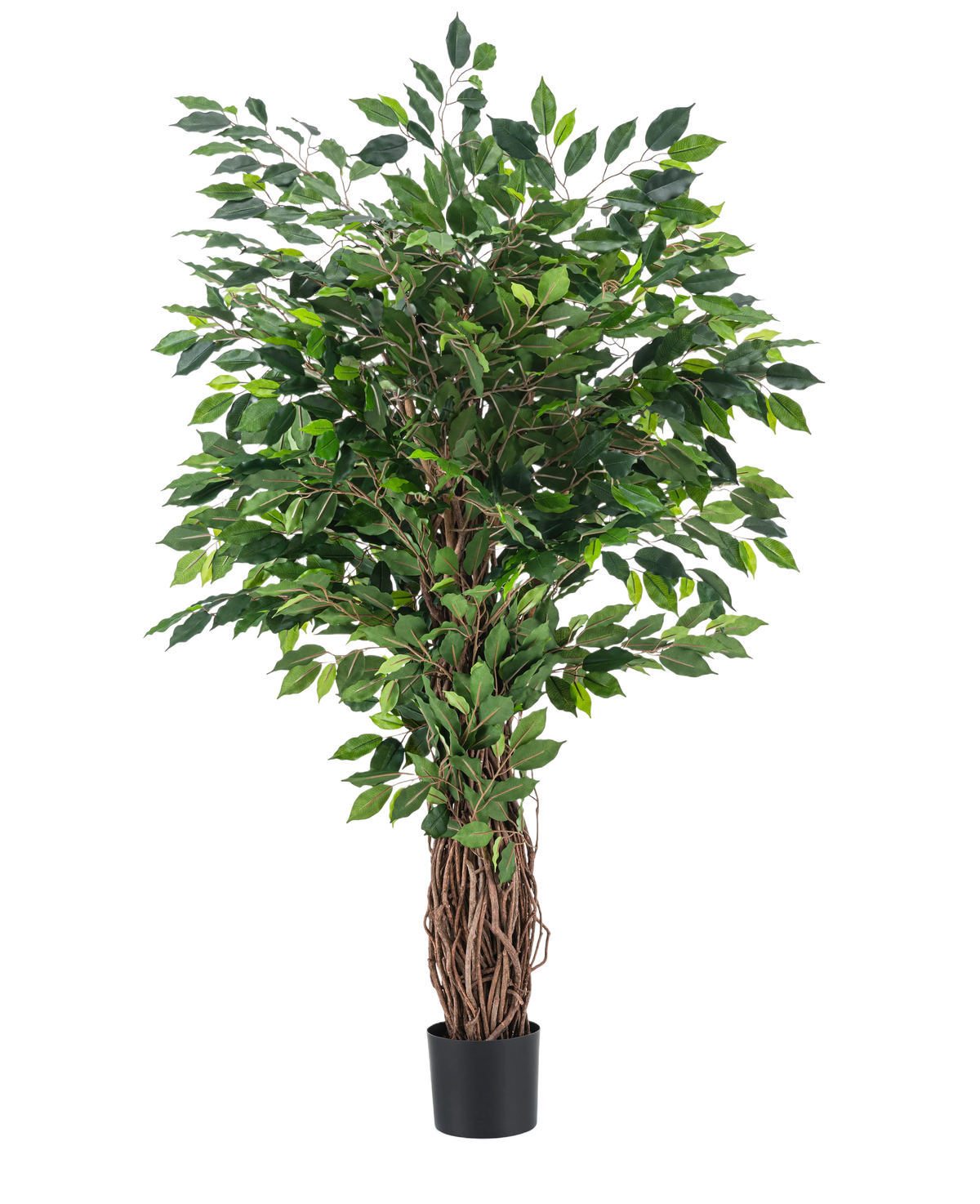 La Planta Artificial Ficus Tropical Liana 150 cm es un árbol artificial alto con un tronco trenzado y densas hojas verdes, presentado en una pequeña maceta negra sobre un fondo liso blanco.