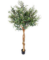 De Kunst Olijfboom 190 cm heeft een gedraaide lichtbruine stam en dichte groene bladeren die een mediterrane sfeer toevoegen. Tegen een effen witte achtergrond is hij perfect voor een stijlvolle inrichting binnenshuis.