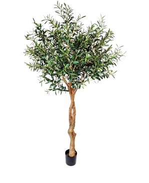 El Olivo Artificial de 190 cm tiene un tronco retorcido de color marrón claro y densas hojas de color verde que añaden un ambiente mediterráneo. Con un fondo blanco liso, es perfecto para una decoración interior elegante.