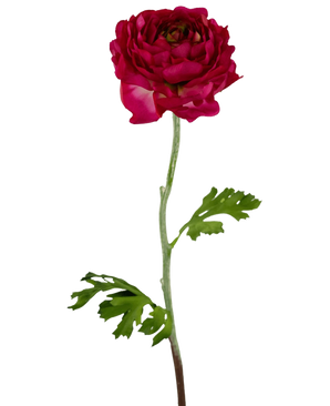 De Kunstbloem Ranonkel 51 cm donkerroze is een enkele kunstmatige dieproze ranonkel met gelaagde bloemblaadjes, een lange groene steel en twee gekartelde groene bladeren, tegen een witte achtergrond.