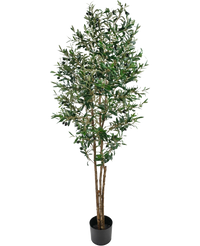 Olivo artificial 180 cm UV