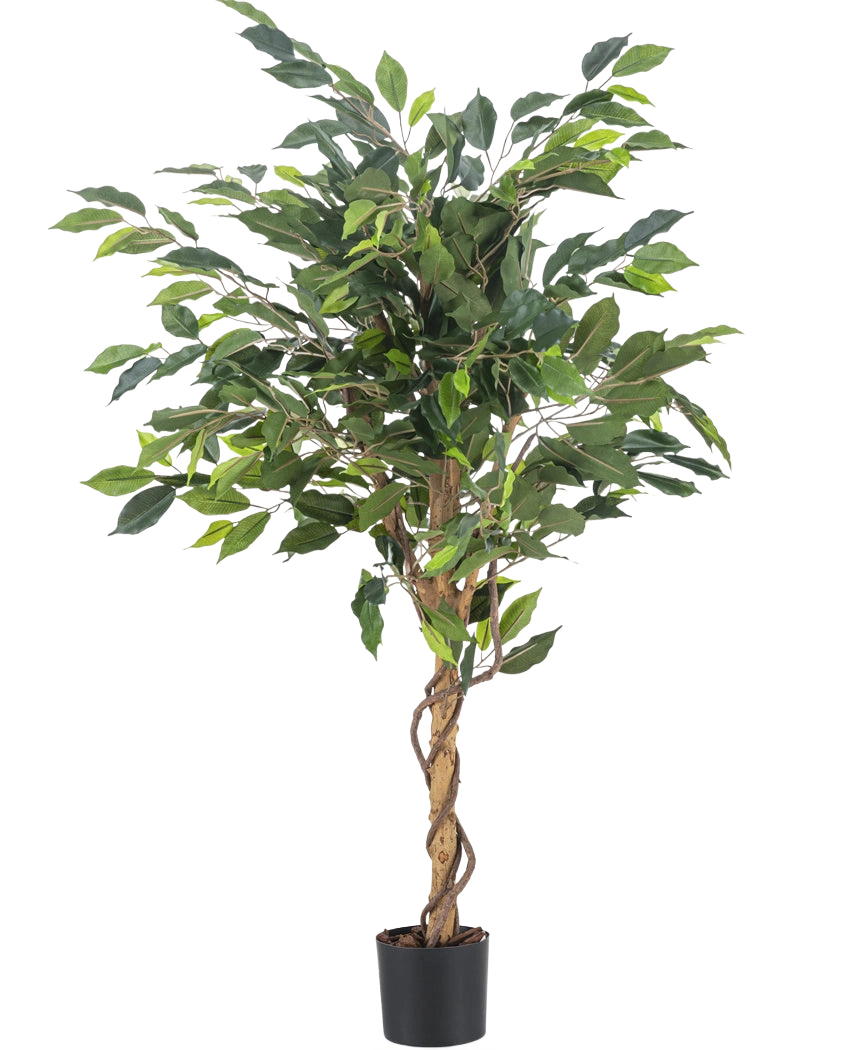 La Planta Artificial Ficus Green 120 cm tiene hojas verdes y un tallo retorcido, en una pequeña maceta negra sobre un fondo blanco liso.