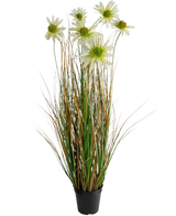 La Maceta Césped Artificial Crisantemo Cebolla 90cm retardante de fuego es una planta artificial en maceta con largas hojas verdes y marrones parecidas a la hierba, rematadas con flores de margaritas blancas con un corazón amarillo.