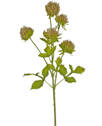 Cardo artificial 66 cm marrón