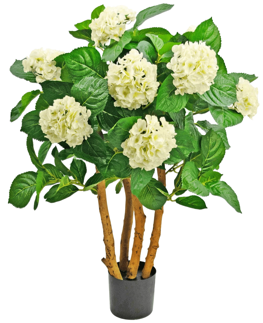 La Hortensia Artificial UV 85 cm blanca es una planta artificial en maceta con robustos tallos marrones, grandes hojas verdes y ramilletes de flores blancas tipo hortensias en la parte superior.