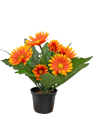 La planta Gerbera Artificial UV Naranja 28 cm tiene flores artificiales tipo margaritas de color naranja y amarillo con hojas verdes en una maceta negra, perfecta para alegrar cualquier espacio.