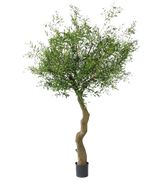 De Kunst Olijfboom 270 cm zonder olijven staat in elegante sierpotten, met een gedraaide stam en dicht groen gebladerte, tegen een effen witte achtergrond.
