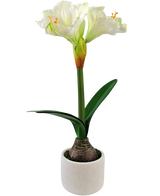 La Flor Artificial Amarilis Real Touch blanca 48 cm tiene una flor realista de amarilis blanca con hojas verdes y bulbo visible en una pequeña maceta blanca, perfecta para añadir elegancia a cualquier estancia.