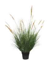 Planta de Césped Artificial Avestruz de 120 cm retardante, de largas hojas verdes y altos penachos dorados, sobre un fondo liso y blanco.