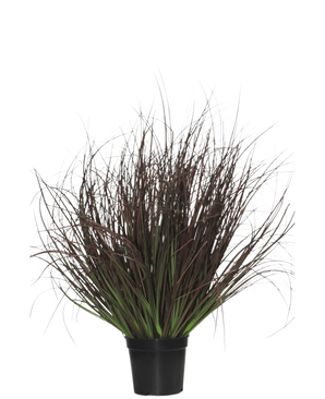 El Césped Artificial Planta Césped 50 cm ignífugo se presenta en una maceta de plástico de color negro, con césped ornamental puntiagudo de hojas largas y finas de color violeta oscuro y verde -perfecto para la decoración de interiores- sobre un fondo blanco.