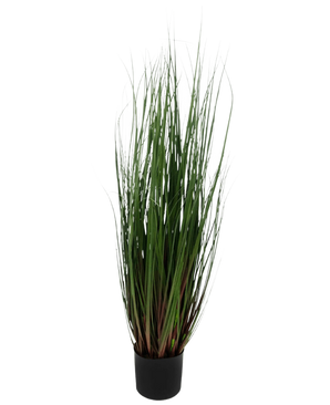 La Planta de Césped Artificial Cebolla 90 cm ignífuga es una hierba ornamental en maceta con hojas largas y finas de color verde que se tiñen de rojo violeta en la base, sobre un fondo liso y blanco.