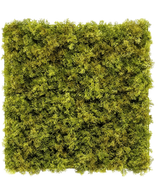 De Kunsthaag Nordic Mos 50x50 cm UV is een vierkant paneel dat dicht bedekt is met weelderig groen mos op een witte achtergrond, waardoor een getextureerde, natuurlijke look ontstaat die perfect is voor chique interieurs.