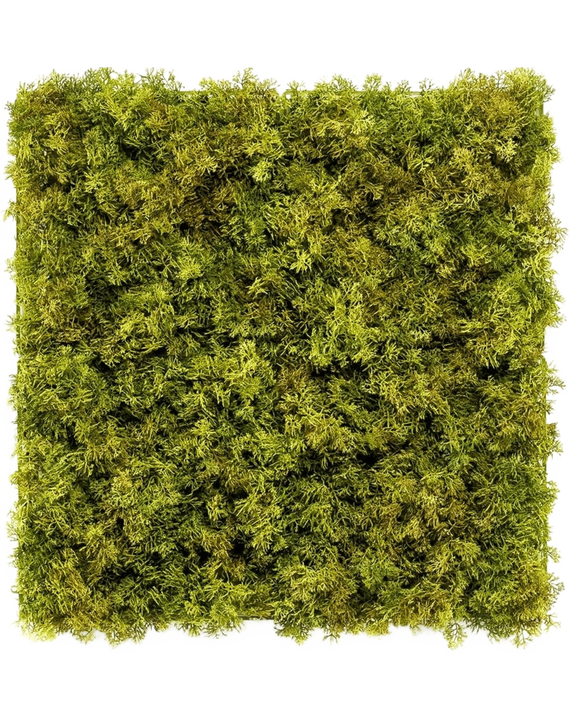 El seto artificial Nordic Moss 50x50 cm UV es un panel cuadrado densamente cubierto de exuberante musgo verde sobre un fondo blanco, que crea un aspecto texturizado y natural perfecto para interiores elegantes.