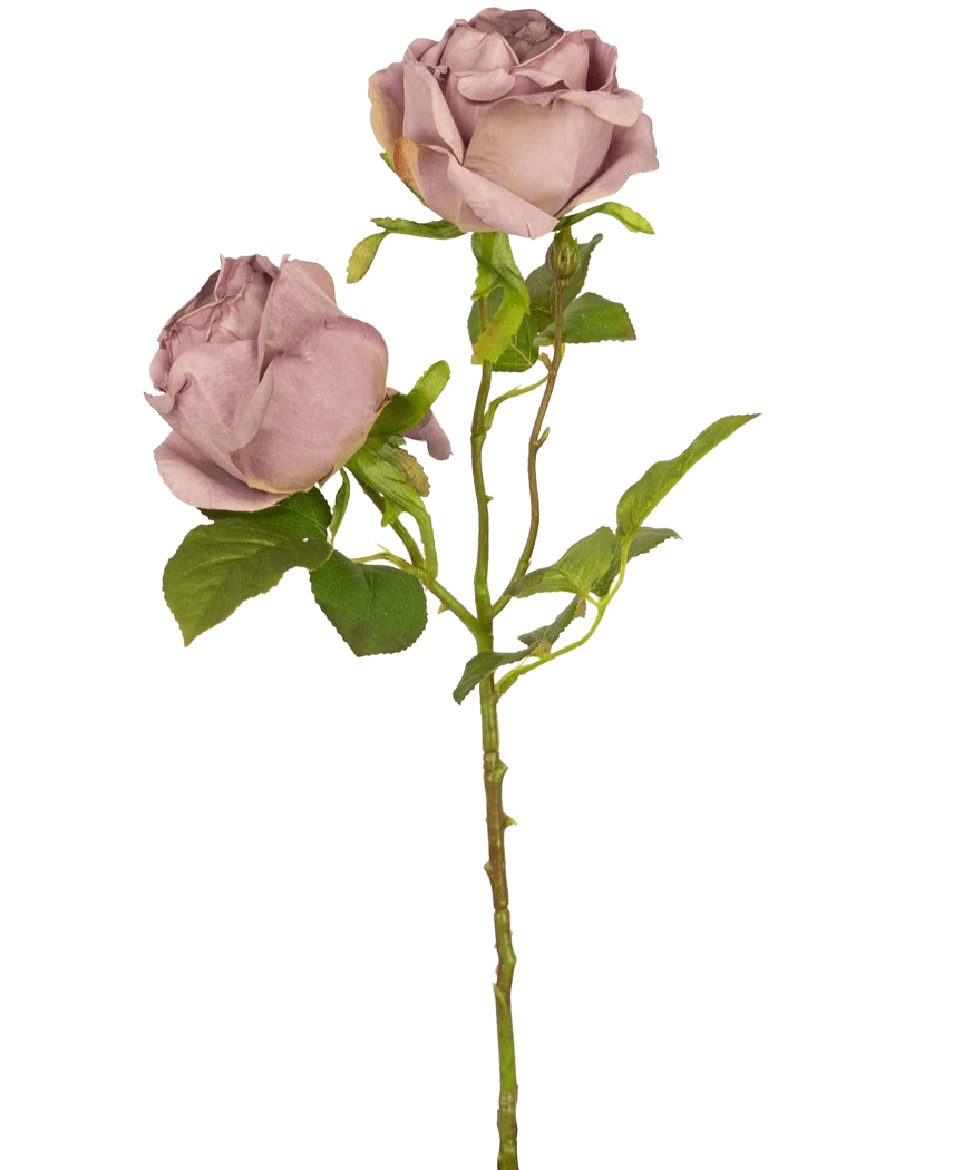 Una única Rosa Artificial Deluxe de 55 cm de tallo morado con dos rosas malva polvorientas y hojas verdes, sobre un fondo blanco liso.