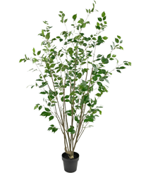 Planta artificial Ficus 180 cm