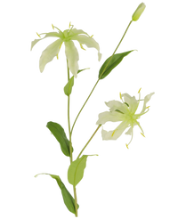 Flor artificial Gloriosa 81 cm blanco