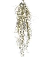 La planta colgante artificial Sudo 110 cm tiene ramas secas, largas, delgadas y rizadas que cuelgan sobre un fondo blanco liso. Agrega atmósfera y comodidad como una planta colgante artificial única a su espacio.