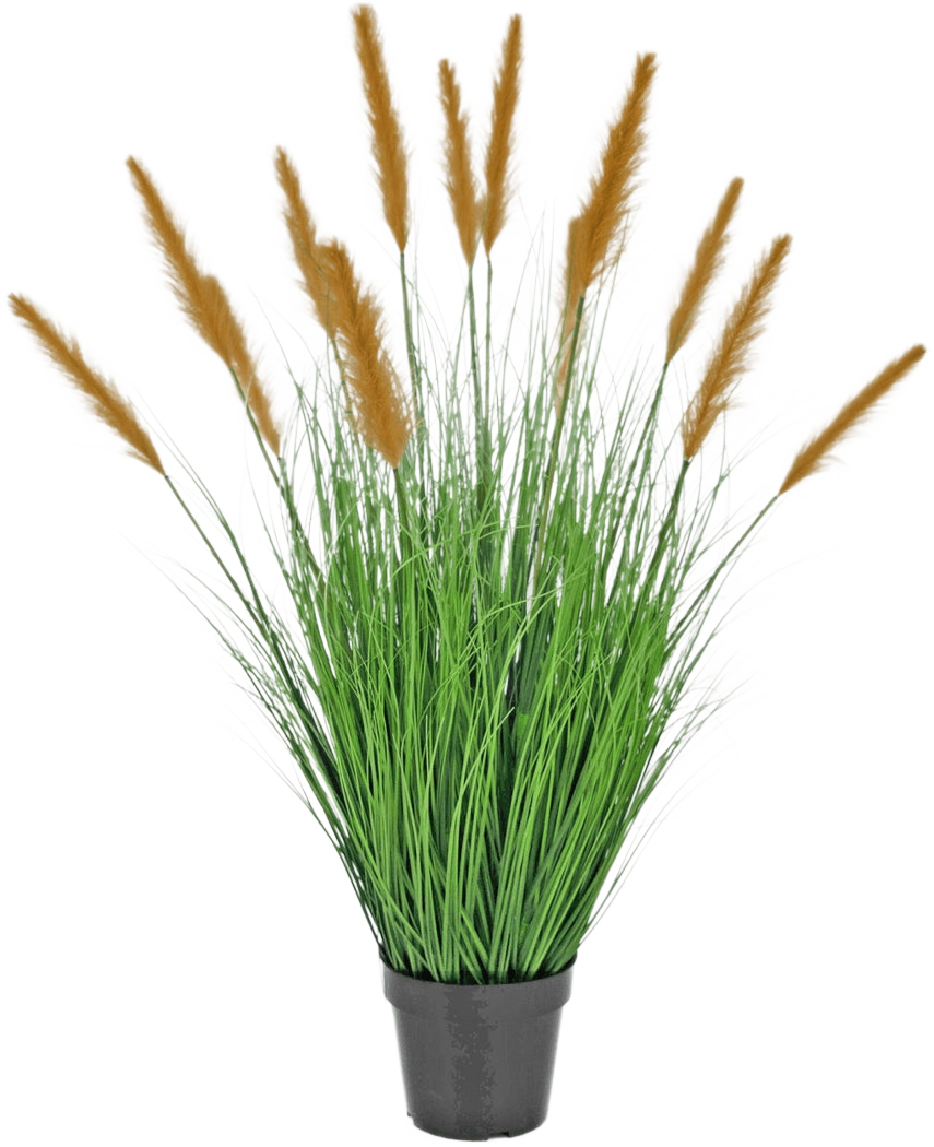 La planta de césped artificial Avestruz 100 cm retardante de fuego se encuentra en una maceta negra con hojas altas parecidas a la hierba y largas plumas marrones, que añaden una decoración verde sobre un fondo blanco liso.