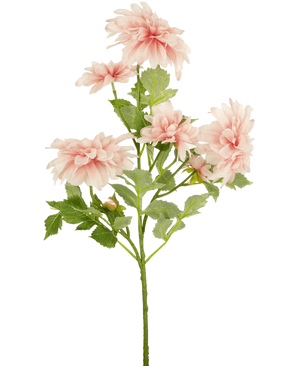 De Kunstbloem Dahlia 68 cm roze heeft een enkele groene steel met verschillende lichtroze dahlia bloemen en groene bladeren, tegen een effen witte achtergrond.