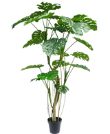 La Planta Artificial Monstera 210 cm es una planta de maceta alta con varios tallos largos y hojas verdes grandes, brillantes y divididas que se asemejan a una monstera real. Se muestra aquí sobre un fondo blanco liso.
