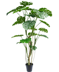 Planta artificial Monstera 210 cm