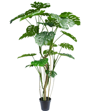 La Planta Artificial Monstera 210 cm es una planta de maceta alta con varios tallos largos y hojas verdes grandes, brillantes y divididas que se asemejan a una monstera real. Se muestra aquí sobre un fondo blanco liso.