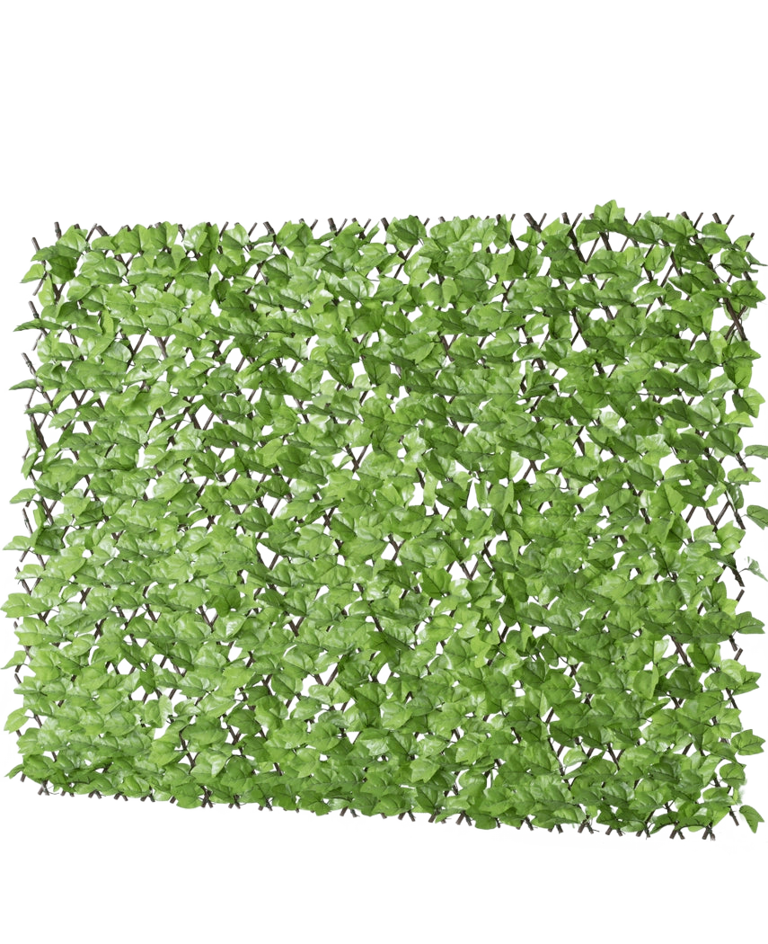 El seto artificial Ivy extensible 200x100 cm es un panel rectangular de hojas verdes artificiales sobre una rejilla, diseñado para parecerse a un seto frondoso o una pantalla de privacidad, representado sobre un fondo blanco.