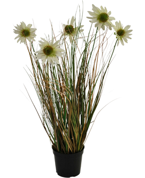 El Césped Artificial Crisantemo Cebolla Maceta 60cm retardante de fuego tiene hojas largas y delgadas de color verde y marrón con varios tallos altos rematados con flores blancas parecidas a margaritas con un corazón amarillo.