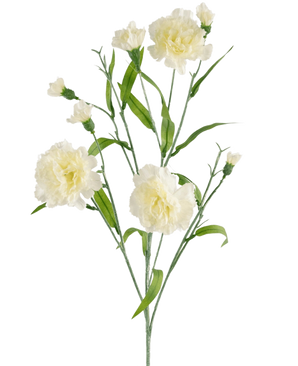El ramo de claveles artificiales de 70 cm blanco tiene un tallo con varias flores de claveles blancas y hojas verdes sobre un fondo blanco liso.
