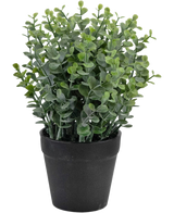 La Planta Artificial Pumila de 23 cm es una pequeña planta verde en maceta con hojas redondas en una sencilla maceta negra, representada sobre un fondo blanco.