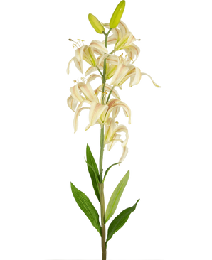 Una sola flor artificial alta de lirio Martagon de 78 cm de color rosa con flores de lirio rosas y hojas verdes sobre un fondo blanco liso; algunas flores están abiertas mientras que dos capullos en la parte superior permanecen cerrados.