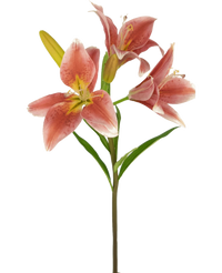 Ramo de flor artificial Lirio asiático 66 cm rosa viejo