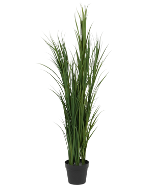 El Césped Artificial Verde UV 150 cm es una planta alta de césped artificial con hojas verdes largas y delgadas en una pequeña maceta negra, representada sobre un fondo blanco liso.