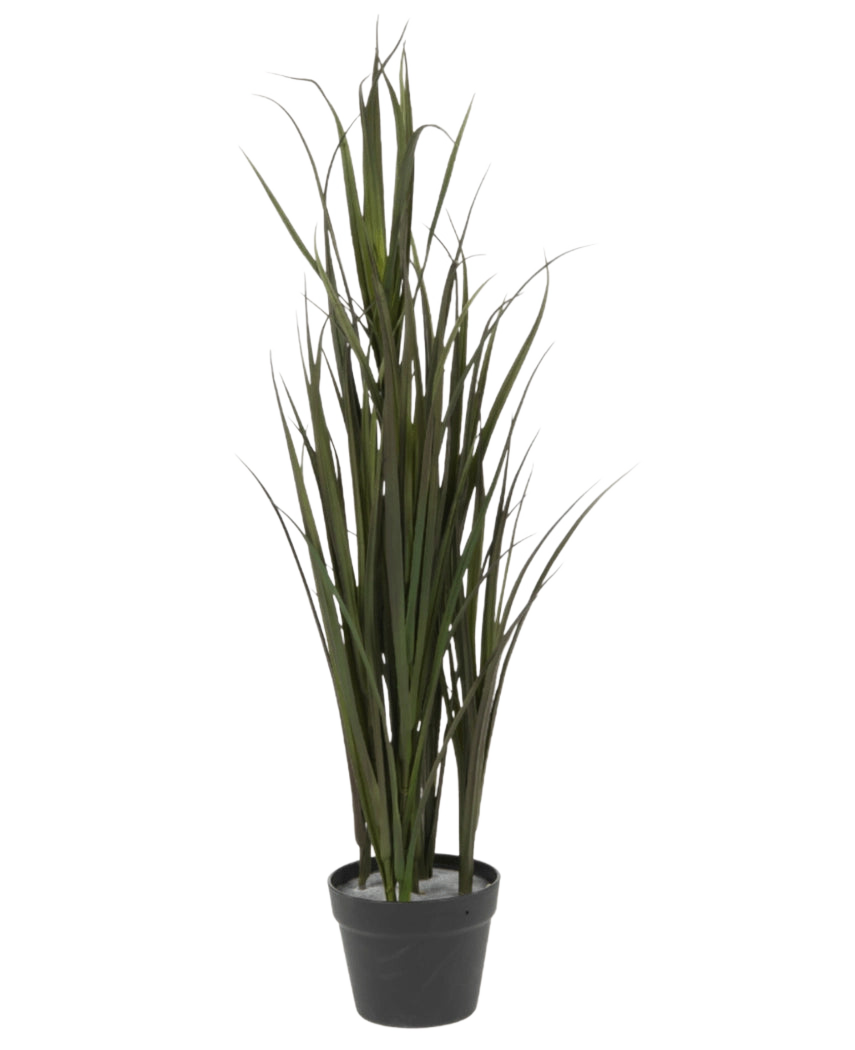 El Césped Artificial Burdeos UV 90 cm es un césped ornamental alto, verde, con hojas largas y delgadas, en una maceta de plástico negra, sobre un fondo blanco liso.