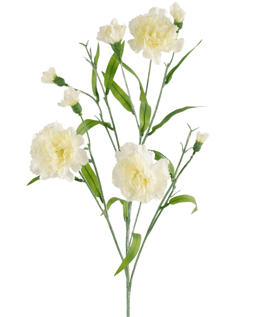 El ramo de claveles artificiales de 70 cm blanco tiene un tallo con varias flores de claveles blancas y hojas verdes sobre un fondo blanco liso.