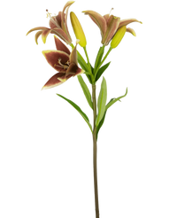Ramo de flor artificial Lirio asiático 66 cm rosa viejo