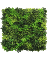 De Kunsthaag Fairyland Moss 100x100 cm UV is een vierkant paneel gevuld met weelderig, getextureerd mos in gevarieerde licht- en donkergroene tinten, waardoor een levendig, natuurlijk oppervlak ontstaat voor elke ruimte.