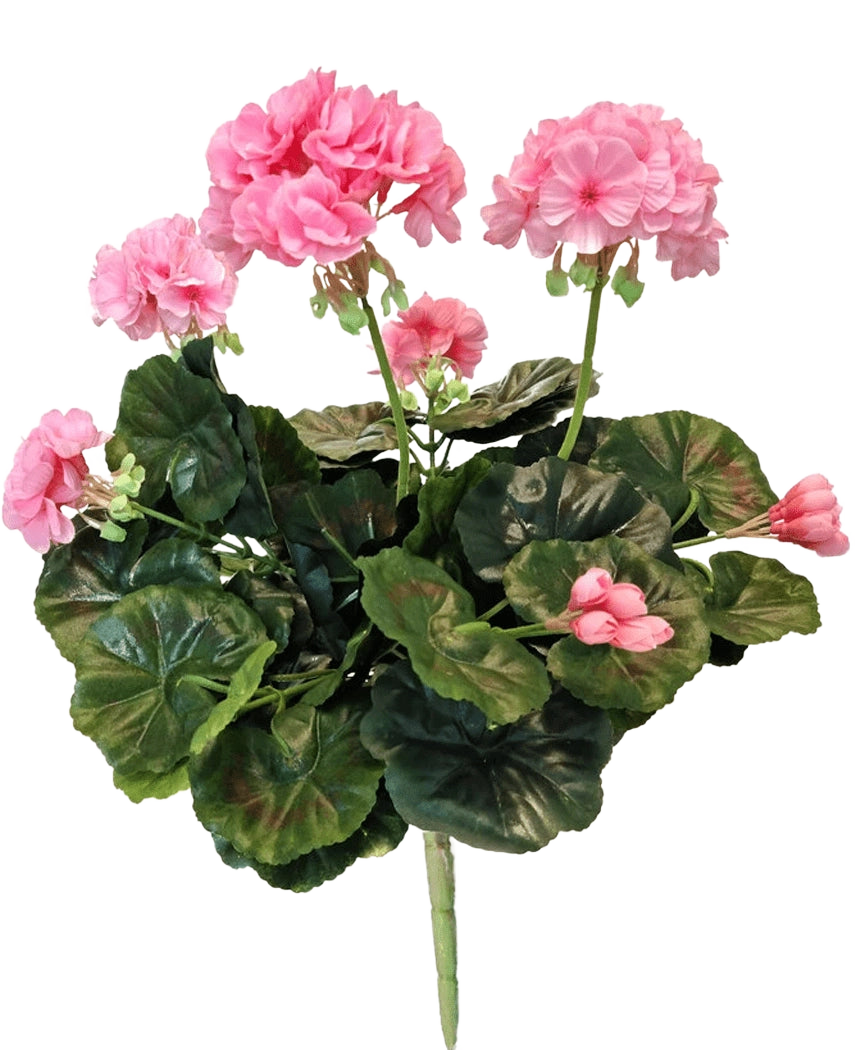 El Geranio artificial rosa de 40 cm tiene flores rosas y hojas verdes redondas en tallos largos, que muestran la belleza de una planta rosa artificial o un geranio artificial sobre un fondo blanco.