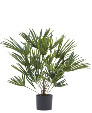 La planta artificial Baby Palm Fan en maceta UV 50 cm tiene hojas verdes largas y delgadas en una elegante maceta, ideal para añadir un toque elegante a su interior o para combinar con macetas decorativas para darle un toque extra.