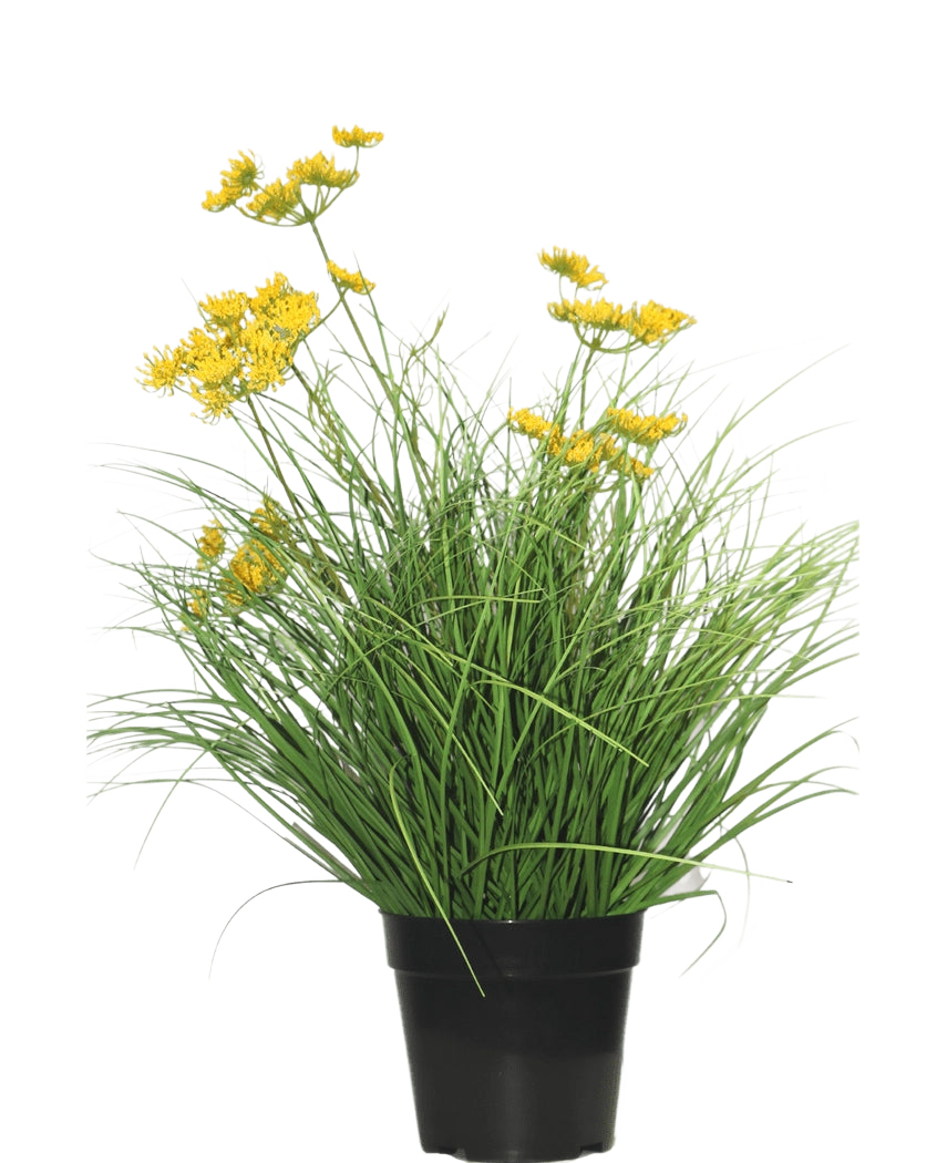 La planta de césped artificial Asteraceae ignífuga de 50 cm tiene hojas verdes largas y delgadas y pequeñas flores amarillas en una maceta negra, lo que proporciona una apariencia verde: el césped artificial perfecto para el hogar sobre un fondo blanco liso.