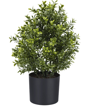 La Planta Artificial Boj Estilo Romano UV 36 cm es una planta artificial compacta en maceta con un denso follaje verde, exhibida en una sencilla maceta redonda de color negro sobre un fondo blanco liso.