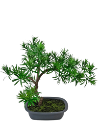 Planta artificial Bonsái Podocarpus 40 cm