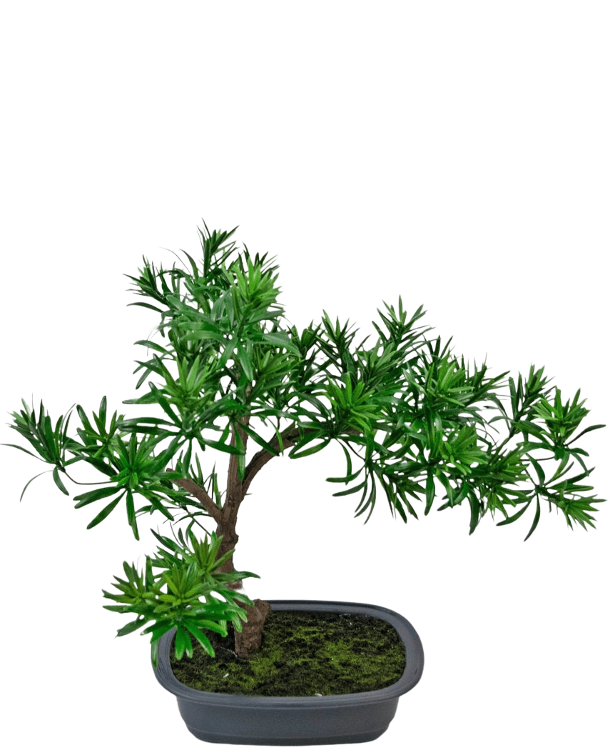 La Planta Artificial Bonsái Podocarpus 40 cm presenta un denso follaje verde en una maceta gris rectangular poco profunda con musgo, perfecta para agregar un estilo natural a cualquier espacio.