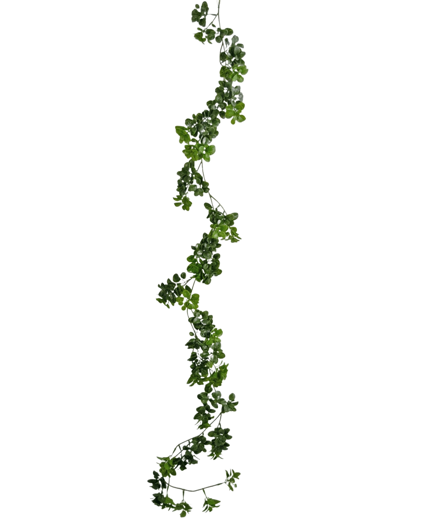 La enredadera artificial Gardenia de 157 cm tiene una enredadera única y larga de color verde con hojas pequeñas que cuelga verticalmente sobre un fondo blanco liso.