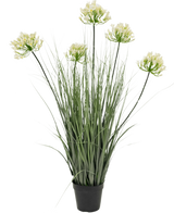 El Césped Artificial Agapanthus Blanco Cebolla Maceta 90cm Ignífugo es una planta artificial en maceta con hojas altas de color verde y seis racimos de pequeñas flores de color amarillo claro sobre tallos largos, sobre un fondo liso blanco.