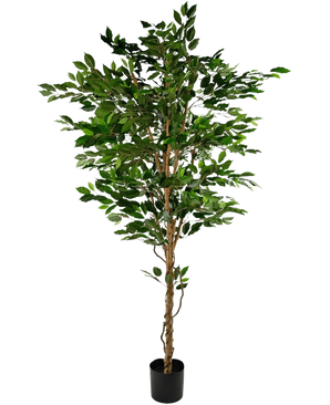 La Planta Artificial Ficus Verde 210 cm es un árbol artificial alto con hojas verdes y varios troncos esbeltos de color marrón, en una maceta compacta de color negro sobre un fondo liso blanco.