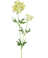 La flor artificial de encaje de 76 cm blanca es un único tallo artificial con racimos de pequeñas flores de color blanco verdoso claro y hojas verdes dentadas y profundamente lobuladas, sobre un fondo blanco liso.