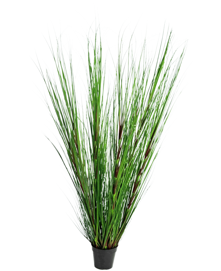 La Planta de Césped Artificial Cebolla ignífuga de 150 cm tiene hojas largas, delgadas y verticales, parecidas a la hierba, de color verde, y tallos largos, sobre un fondo blanco liso.